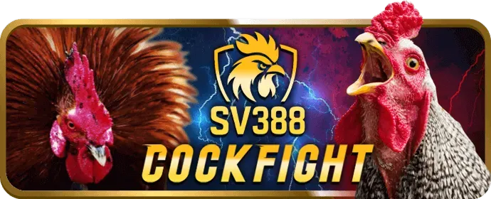 Hình ảnh minh họa cá cược có trách nhiệm tại VB88