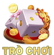 Biểu tượng tính chính xác của dữ liệu
